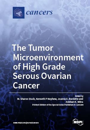 The Tumor Microenvironment of High Grade Serous Ovarian Cancer | MDPI Books