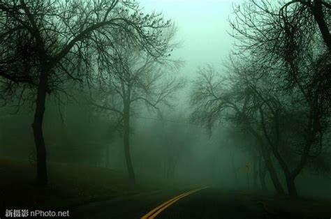 雾中风景 剧照 | Landscape in the mist, Film stills, Landscape