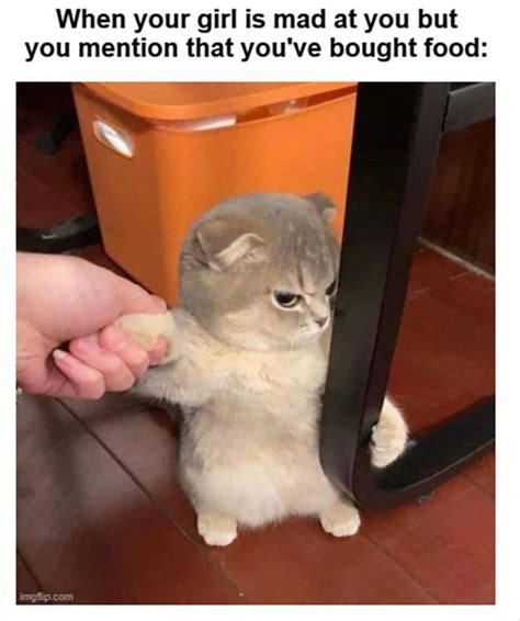 Man Humor Meme 的图像结果