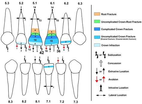Relationships between Clinical and Non-Clinical Variables concerning ...