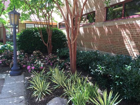 Spring Flower Shrubs for Commercial Properties