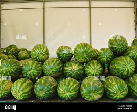 Large watermelons hi-res stock photography and images - Alamy