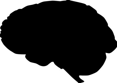 Image result for OpenCV Tutorial Python