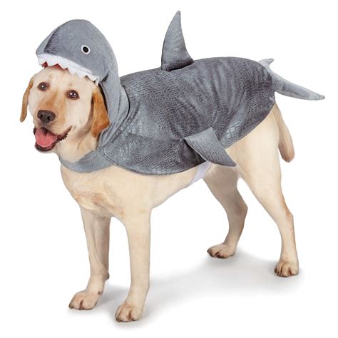 10 Best Dog Halloween Costumes: Best Costumes For Dogs