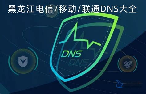 黑龙江DNS地址查询，黑龙江电信/联通/移动DNS服务器地址大全-运维兔
