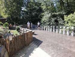 ZooLex Exhibit - Humboldt Penguins