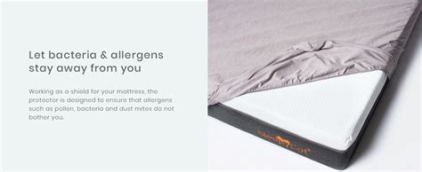 Buy SleepyCat Water Proof Ultra Soft Terry Cotton King Size Mattress ...