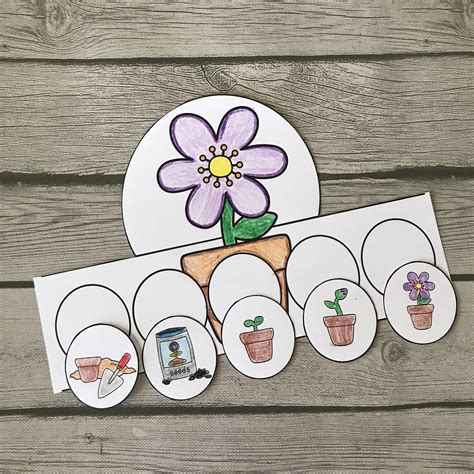 Life Cycle Of A Plant Worksheet For Kindergarten