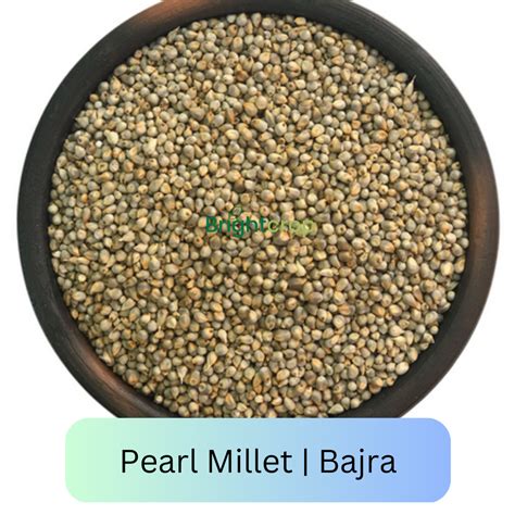 Bajra: 4 Health Benefits, Nutrition and Its Uses – Tagged "Uses of ...
