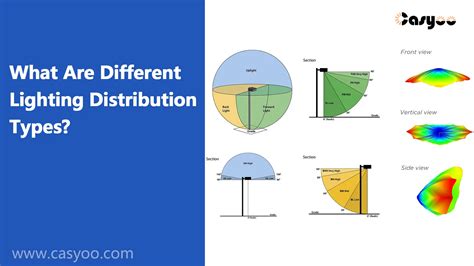 Image result for Distribution Types