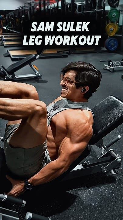 Sam Sulek Gym 的图像结果