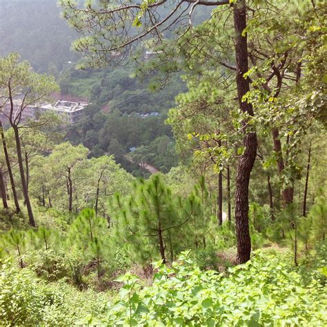 KHETARPAL MARG - All You SHOULD Know Before Going 2026 (with Photos ...