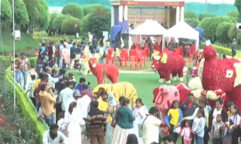 Famed Ooty flower show extended to May 22