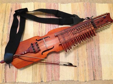 Image result for Obscure Stringed Instruments