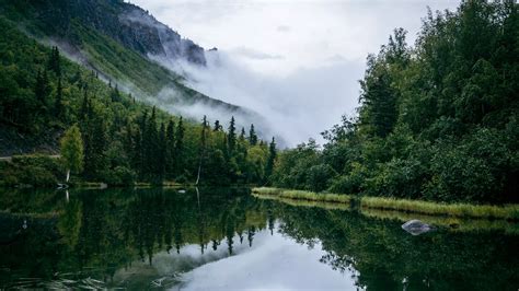 Computer Background 的图像结果