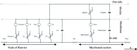 Merrit Cable Model 的图像结果