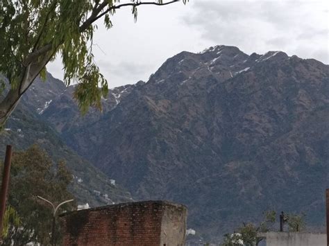 Niharika Complex Katra (Near Bus Srand) Rooms: Pictures & Reviews ...