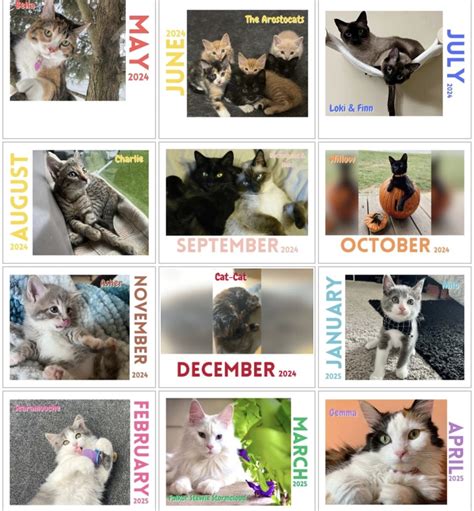 The Paw Print Calendar : r/Pets