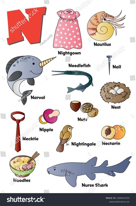 76 Words Starting Letter N Images, Stock Photos, 3D objects, & Vectors ...