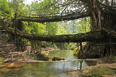 Nature Landscape Pictures 的图像结果