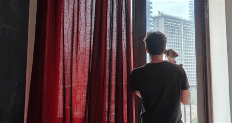 The Healing Touch of a Wagging Tail- How Dogs Heal Humans Unknowingly ...