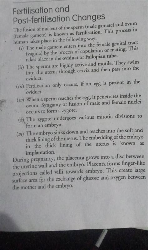 The zygote undergoes various mitotic divisions to form an embryo. | Filo