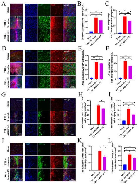 Cells | Special Issue : Glial Scar: Formation and Regeneration