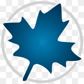 Image result for Maple Activation Code Free