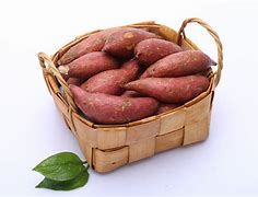 Image result for 番薯
