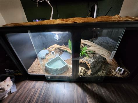 Image result for Ball Python Bulb Heater Setup