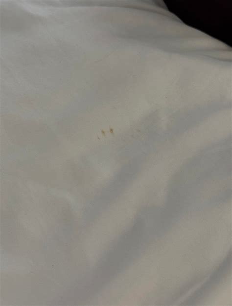 SLEEP INN SARASOTA - Updated 2025 Prices & Hotel Reviews (FL)