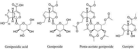 Plant-Derived Anticancer Agents: Lessons from the Pharmacology of ...