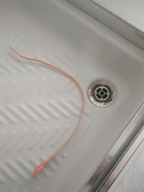 Shower not draining : r/DIY