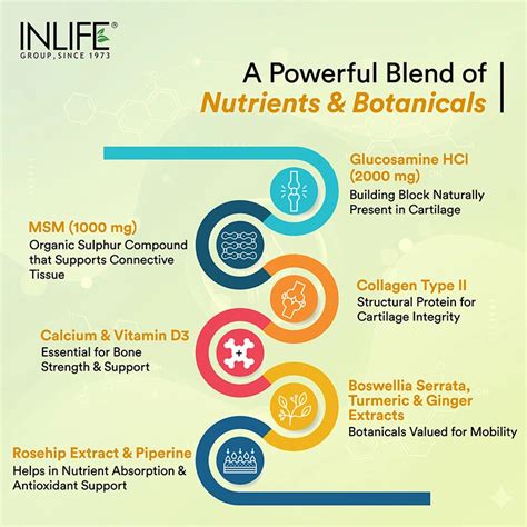 Inlife Glucosamine MSM Chondroitin & Collagen Tablets with Calcium ...
