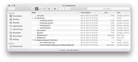 Load PEM File 的图像结果