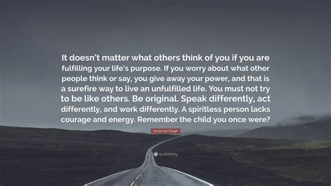 James Van Praagh Quote: “It doesn’t matter what others think of you if you are fulfilling your ...