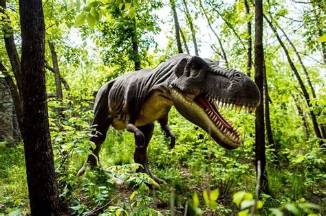 A First Of Its Kind Fossil Park To Open In Maharashtra
