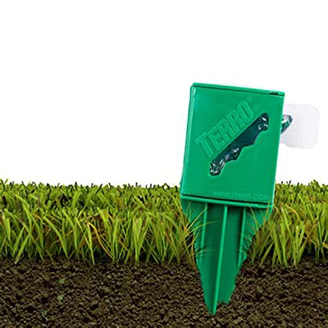 Terro outdoor liquid Ant bait on stakes – Jardineries Botanix