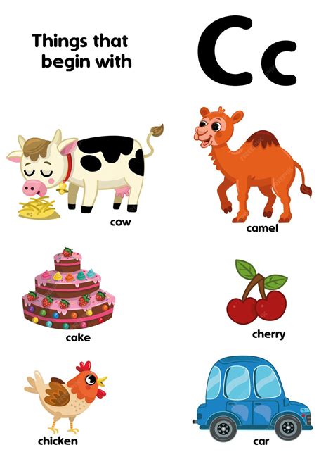 Things That Start With C Objects at Phyllis Lee blog