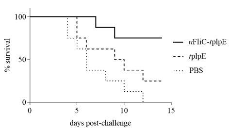 N-terminus of Flagellin Fused to an Antigen Improves Vaccine Efficacy ...