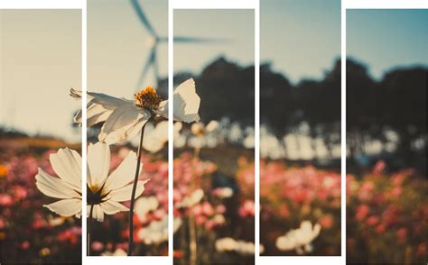 Inephos Multiple Frames Beautiful Flower Wall Painting (Multicolour ...