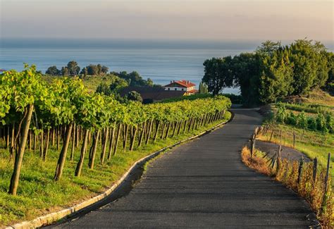 Basa Lore — SoilAir Selection