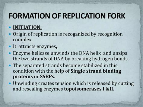 Origin of replication, replication fork, enzymes | PPTX