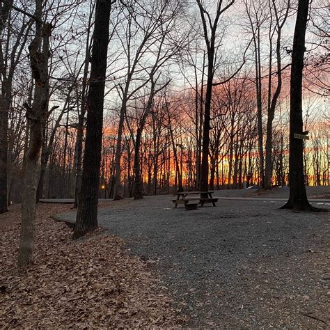 Misty Mountain Camp Resort | The Dyrt