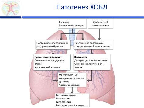 Бронхиальная астма, хроническая обструктивная болезнь легких ...