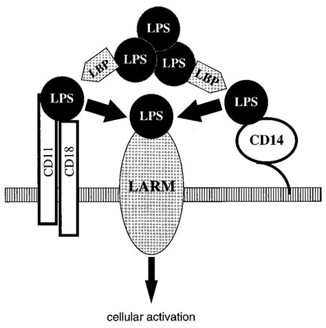 LPS Algorithm 的图像结果
