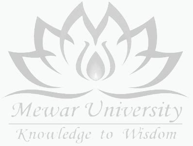 MEWAR UNIVERSITY