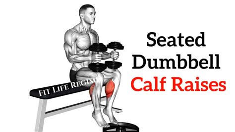 Seated Dumbbell Calf Raises Seated Dumbbell Calf Raise: Video Exercise
