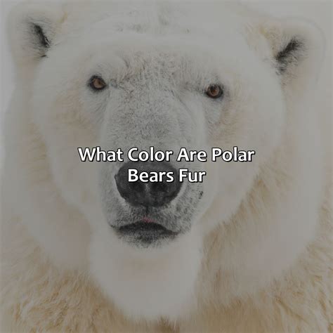 What Color Represents Fear - colorscombo.com