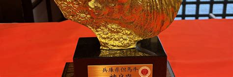 Kyoto Night View One-Day Tour｜Arashiyama, Fushimi Inari Taisha Shrine ...